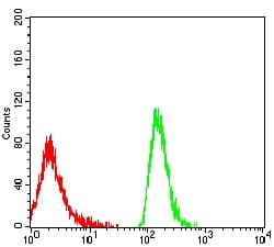 Novus Biologicals LIR-6/LILRA1 Antibody (4A1E10A6), Novus Biologicals 0.025