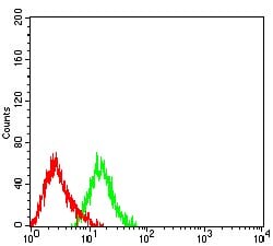 Novus Biologicals Plexin C1 Antibody (3C10B2), Novus Biologicals:Antibodies:Primary