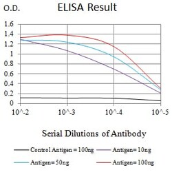 Novus Biologicals Plexin C1 Antibody (3C10B2), Novus Biologicals:Antibodies:Primary