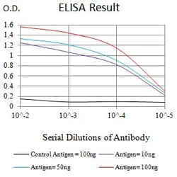 Novus Biologicals EVI2B Antibody (8F3D1), Novus Biologicals 0.1 mL, Unconjugated:Antibodies,