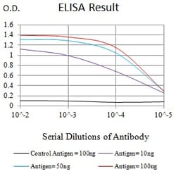 Novus Biologicals MLL3 Antibody (6D1B9), Novus Biologicals 0.1 mL, Unconjugated:Antibodies,
