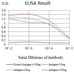 Novus Biologicals WDFY3 Antibody (2F7C2), Novus Biologicals 0.025 mL, Unconjugated:Antibodies,