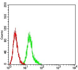 Novus Biologicals CRTAM Antibody (1C11E10), Novus Biologicals 0.025 mL,