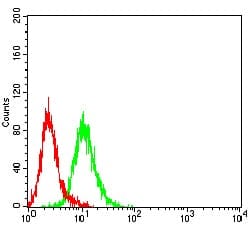 Novus Biologicals KMT2D Antibody (3C8E11), Novus Biologicals 0.025 mL,