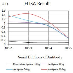 Novus Biologicals ILT8/CD85b/LILRA6 Antibody (1B5B11), Novus Biologicals