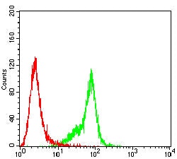 Novus Biologicals SP17 Antibody (3G9F3), Novus Biologicals 0.025 mL, Unconjugated:Antibodies,