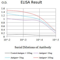 Novus Biologicals Siglec-15 Antibody (3C9C3), Novus Biologicals 0.025 mL,