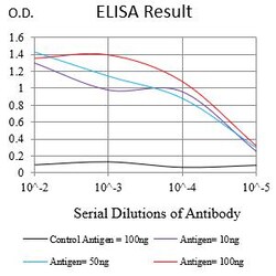 Novus Biologicals GPR19 Antibody (6A1D8), Novus Biologicals 0.025 mL, Unconjugated:Antibodies,