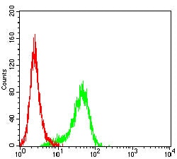 Novus Biologicals CD1d Antibody (3A6G3), Novus Biologicals 0.025 mL, Unconjugated:Antibodies,