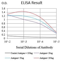 Novus Biologicals CD1d Antibody (3A6G3), Novus Biologicals 0.025 mL, Unconjugated:Antibodies,