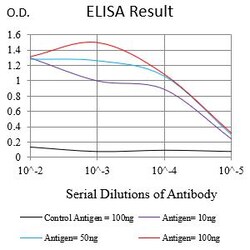 Novus Biologicals TSPAN16 Antibody (8G1E2), Novus Biologicals 0.1 mL | Buy Online | Novus Biologicals&trade; | Fisher Scientific