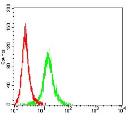 Novus Biologicals TSPAN16 Antibody (8G1E2), Novus Biologicals 0.1 mL | Buy Online | Novus Biologicals&trade; | Fisher Scientific