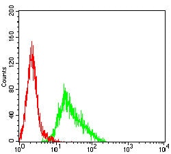 Novus Biologicals FPRL2/FPR3 Antibody (8A6G12), Novus Biologicals:Antibodies:Primary