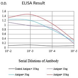 Novus Biologicals FPRL2/FPR3 Antibody (8A6G12), Novus Biologicals:Antibodies:Primary