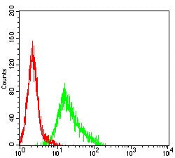 Novus Biologicals FPRL2/FPR3 Antibody (7D9B4), Novus Biologicals:Antibodies:Primary