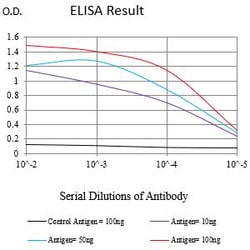Novus Biologicals FPRL2/FPR3 Antibody (7D9B4), Novus Biologicals:Antibodies:Primary