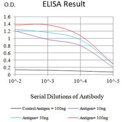 Novus Biologicals ATP6AP1 Antibody (5G12A4), Novus Biologicals 0.025 mL,