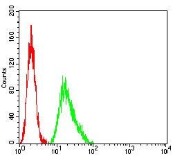 Novus Biologicals ATP6AP1 Antibody (3H11B12), Novus Biologicals 0.025 mL,