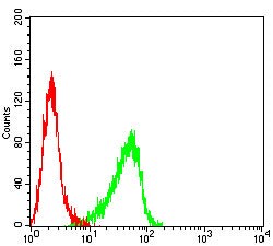 Novus Biologicals RABEP2 Antibody (2B1B6), Novus Biologicals 0.1 mL, Unconjugated:Antibodies,