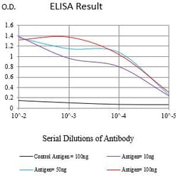 Novus Biologicals RABEP2 Antibody (2B1B6), Novus Biologicals 0.1 mL, Unconjugated:Antibodies,