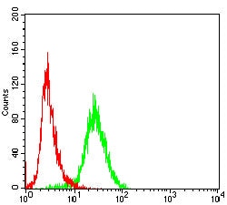 Novus Biologicals TRBC1 Antibody (5D9F1), Novus Biologicals 0.025 mL, Unconjugated:Antibodies,