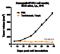 Novus Biologicals ErbB2/Her2 Antibody (trastuzumab) - Humanized, Novus