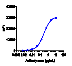 Novus Biologicals ErbB2/Her2 Antibody (trastuzumab) - Humanized, Novus