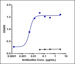 Novus Biologicals IL-4R alpha Antibody (dupilumab), Novus Biologicals 100