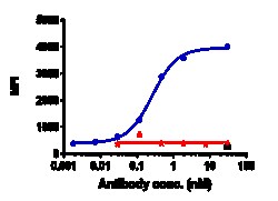 Novus Biologicals IL-4R alpha Antibody (dupilumab), Novus Biologicals 100