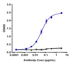 Novus Biologicals Lysyl Oxidase Homolog 2/LOXL2 Antibody (simtuzumab) -