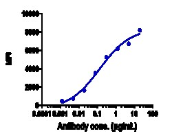 Novus Biologicals Dkk-1 Antibody (LIV-1205) - Humanized, Novus Biologicals