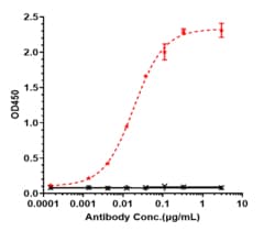 Novus Biologicals Mesothelin Antibody (anetumab) - Humanized, Novus Biologicals:Antibodies:Primary