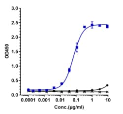 Novus Biologicals LIF Antibody (MSC-1) - Humanized, Novus Biologicals 50