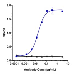 PSMA/FOLH1/NAALADase I Antibody (rosopatamab) - Humanized, R&D Systems&trade;
