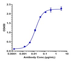 Novus Biologicals GPRC5D Antibody (talquetamab) - Humanized, Novus Biologicals:Antibodies:Primary
