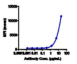 Novus Biologicals GPRC5D Antibody (talquetamab) - Humanized, Novus Biologicals:Antibodies:Primary
