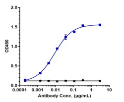 Novus Biologicals ErbB3/Her3 Antibody (barecetamab), Novus Biologicals
