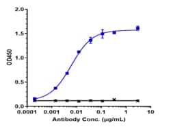 Novus Biologicals ErbB3/Her3 Antibody (lumretuzumab) - Humanized, Novus