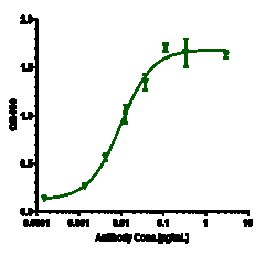 Novus Biologicals beta Amyloid Antibody (CNTO 2125), Novus Biologicals:Antibodies:Primary