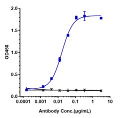 Novus Biologicals TIGIT Antibody (tiragolumab), Novus Biologicals:Antibodies:Primary