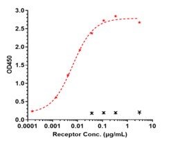 Novus Biologicals TREM2 Antibody (Py314) - Humanized, Novus Biologicals