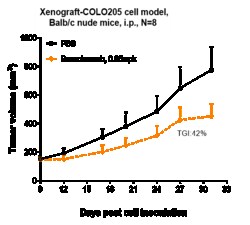 Novus Biologicals VEGF Antibody (bevacizumab) - Humanized, Novus Biologicals