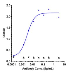 Novus Biologicals VEGF Antibody (bevacizumab) - Humanized, Novus Biologicals
