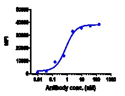 Novus Biologicals VEGFR2/KDR/Flk-1 Antibody (ramucirumab), Novus Biologicals:Antibodies:Primary