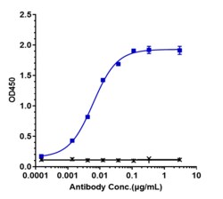 Novus Biologicals HGFR/c-MET Antibody (amivantamab), Novus Biologicals