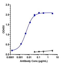 Novus Biologicals HGFR/c-MET Antibody (emibetuzumab) - Humanized, IgG4SP,