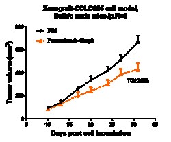 Novus Biologicals CTGF/CCN2 Antibody (pamrevlumab), Novus Biologicals 50