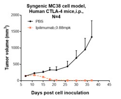 Novus Biologicals CTLA-4 Antibody (ipilimumab), Novus Biologicals 1 mg,
