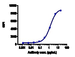 Novus Biologicals CTLA-4 Antibody (ipilimumab), Novus Biologicals 1 mg,