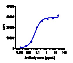 Novus Biologicals Common beta Chain Antibody (CSL311), Novus Biologicals